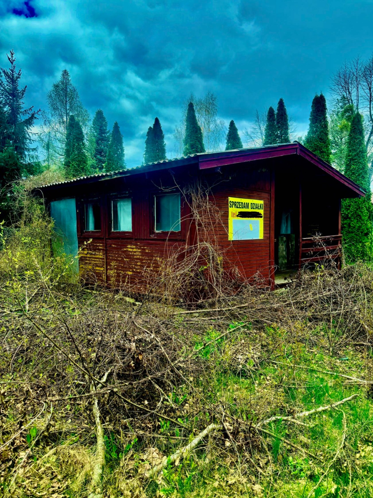 Zaniedbana posesja przed rewitalizacją