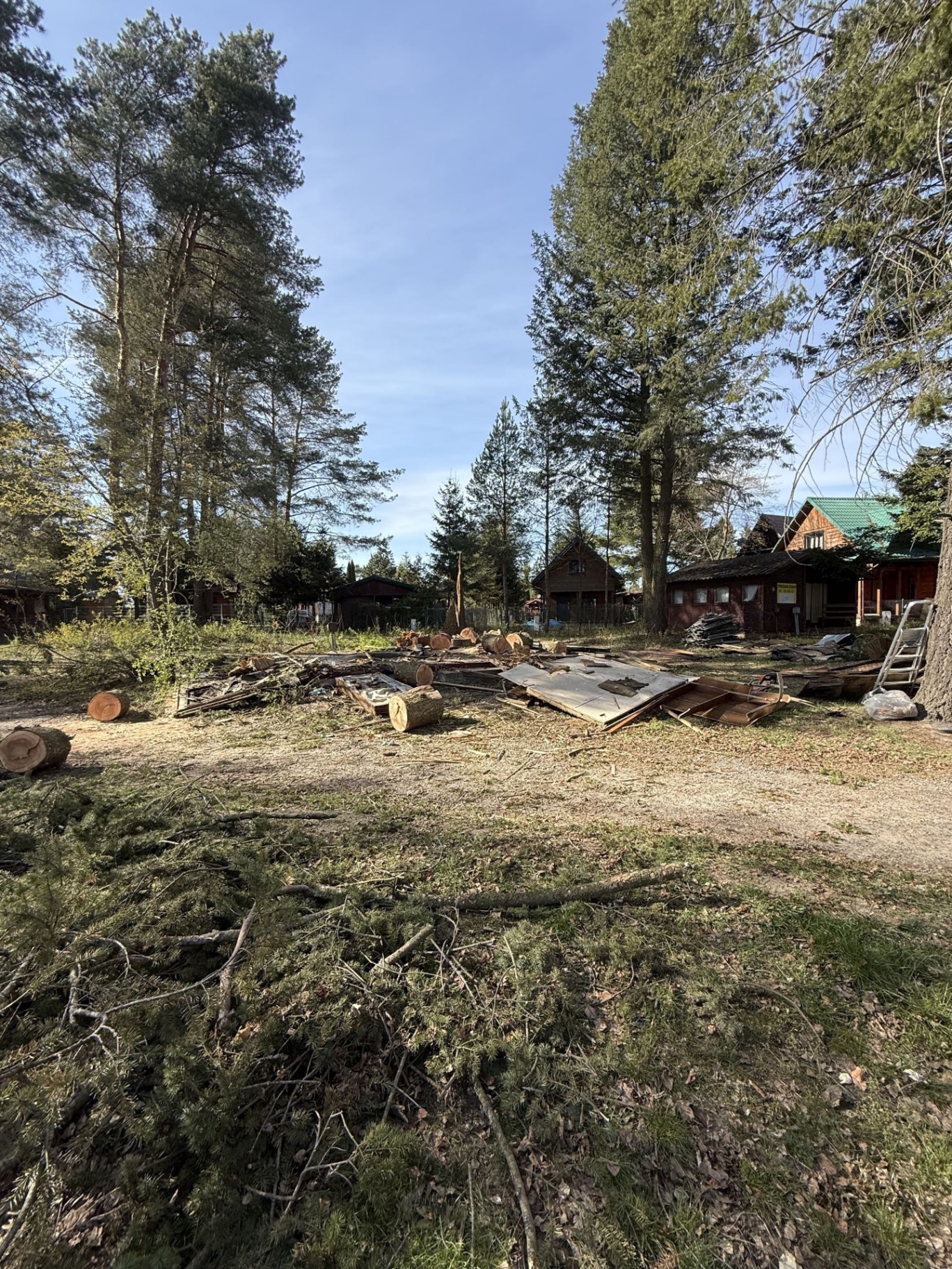 Uprzątnięty teren po wycince i rozbiórce